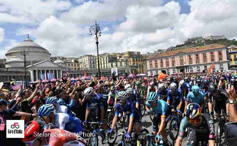 Leknessund maglia rosa