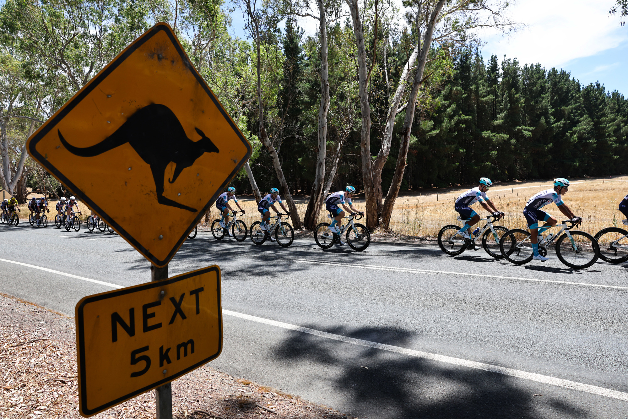 Tour Down Under 2027, rivoluzione totale: doppia Willunga Hill e finale a Stirling Santos-Tour-Down-Under-2025